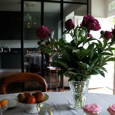 La Maison Les Mimosas 게스트하우스