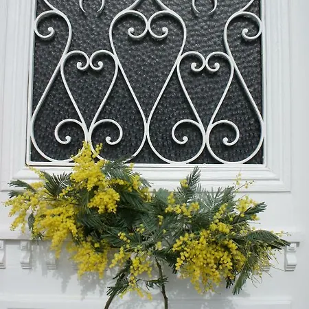La Maison Les Mimosas Le Minihic-sur-Rance